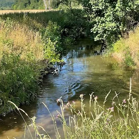 17th Century Mill In The Middle Of Nature Amöneburg