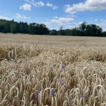 17th Century Mill In The Middle Of Nature *