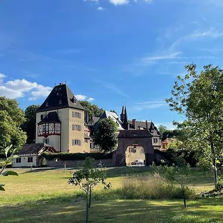 17th Century Mill In The Middle Of Nature Prázdninový dům Amöneburg