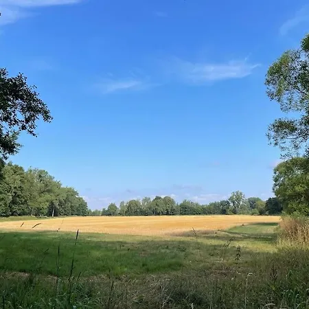 17th Century Mill In The Middle Of Nature