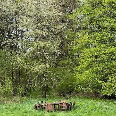 17th Century Mill In The Middle Of Nature Amöneburg